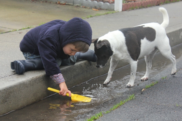 Daniel and Whisper having a great time in the rain puddle
